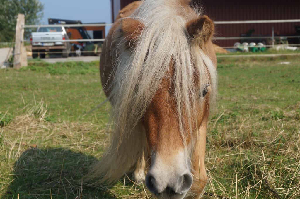 Ferienhof Seelust Gammendorf Zewnętrze zdjęcie